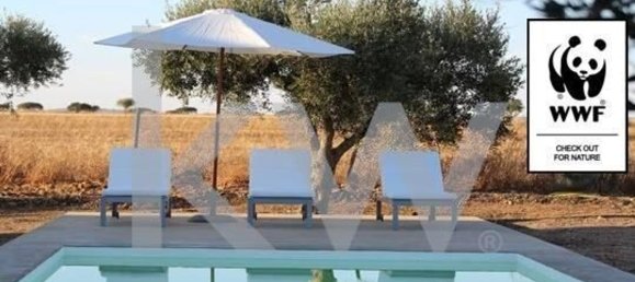 8 Schlafzimmer Haus in Beja, Portugal, Nr. 41707 15