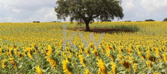 8 Schlafzimmer Haus in Beja, Portugal, Nr. 41707 11