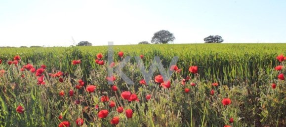 8 Schlafzimmer Haus in Beja, Portugal, Nr. 41707 12