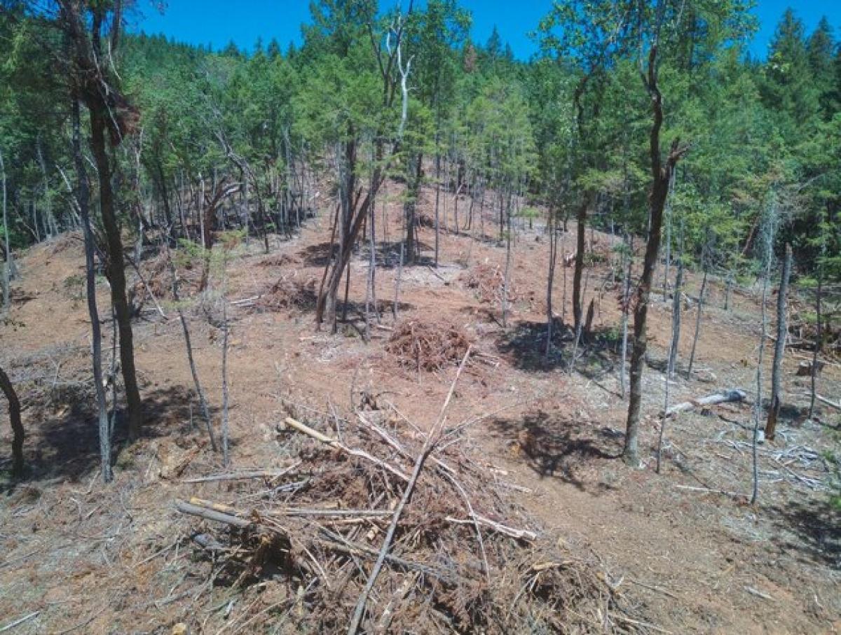  Land in Merlin, USA No. 546396