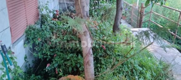 1 غرف نوم شقة في Pieve Ligure, Italy رقم 349998 7