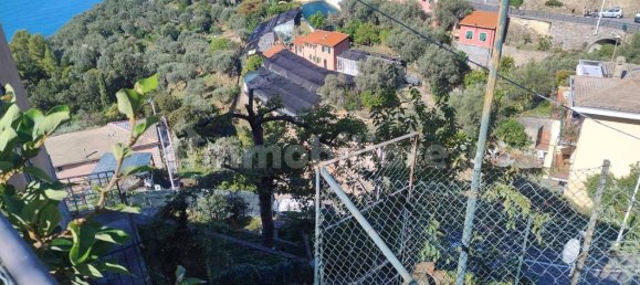 1 غرف نوم شقة في Pieve Ligure, Italy رقم 349998 2