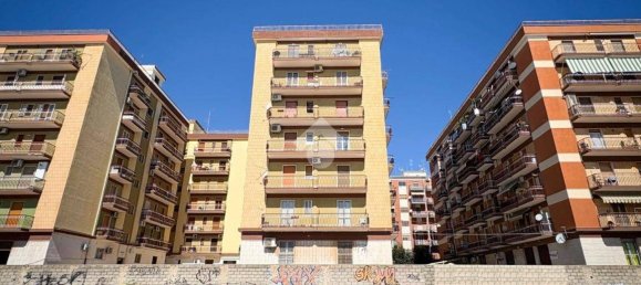 3 bedrooms Apartment in Manfredonia, Italy No. 337182 10