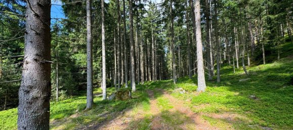 Terreno em St. Leonhard bei Freistadt, Austria 135163 m² N.º 187624 5