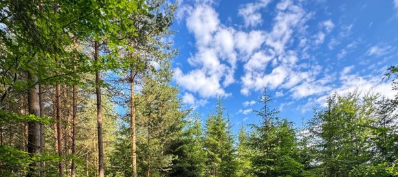 Terreno em St. Leonhard bei Freistadt, Austria 135163 m² N.º 187624 8