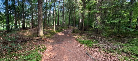 Terreno em St. Leonhard bei Freistadt, Austria 135163 m² N.º 187624 6