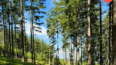 Terreno em St. Leonhard bei Freistadt, Austria 135163 m² N.º 187624