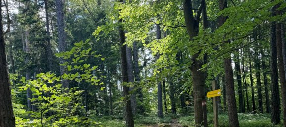 Terreno em St. Leonhard bei Freistadt, Austria 135163 m² N.º 187624 7