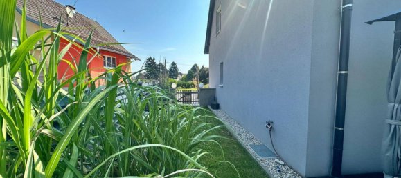 Casa de 4 habitaciónes en Ladendorf, Austria No. 220886 3