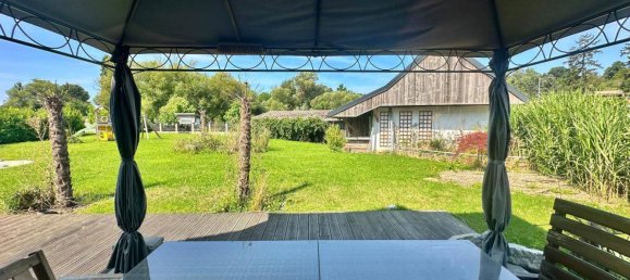 Casa de 4 habitaciónes en Ladendorf, Austria No. 220886 13