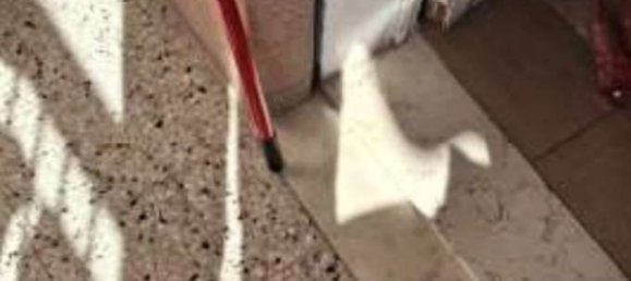 Квартира с 5 комнатами в Тревизо, Италия № 212823 13