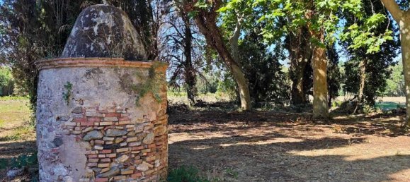 14 bedrooms House in Girona, Spain No. 179123 7