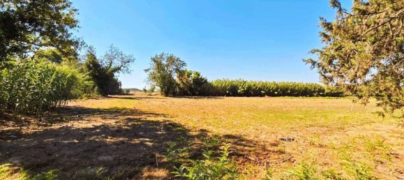 14 bedrooms House in Girona, Spain No. 179123 8