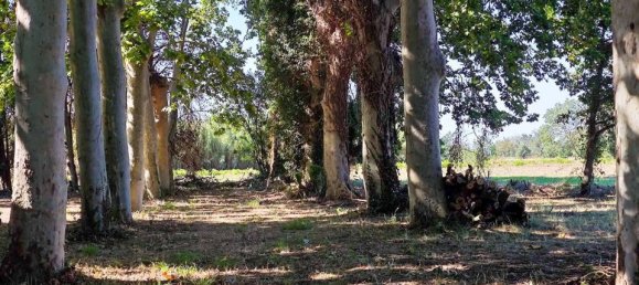 14 bedrooms House in Girona, Spain No. 179123 6