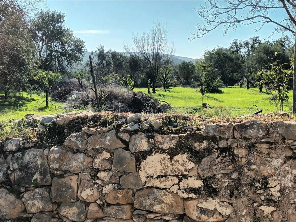 1108m² Land in Loule, Portugal No. 276218