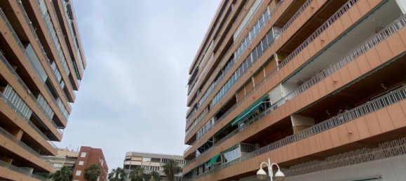 3 غرف نوم شقة في Torrevieja, إسبانيا رقم 364903 3