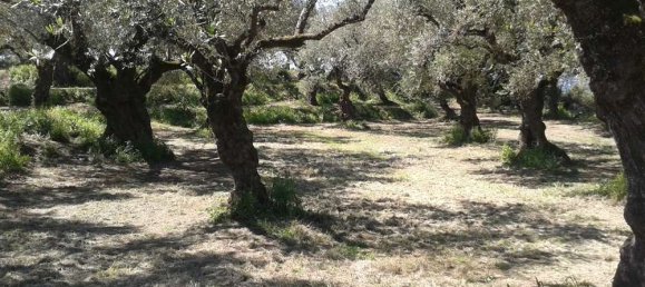  Hotel in Zakynthos, Greece No. 853 4