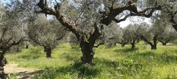  Hotel in Zakynthos, Greece No. 853 6