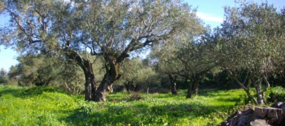  Hotel in Zakynthos, Greece No. 853 9