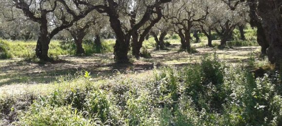  Hotel in Zakynthos, Greece No. 853 3