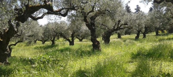  Hotel in Zakynthos, Greece No. 853 5