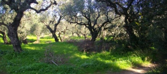  Hotel in Zakynthos, Greece No. 853 10