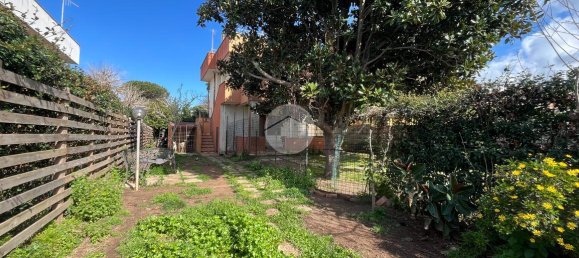 3 rooms Apartment in Ardea, Italy No. 230643 4