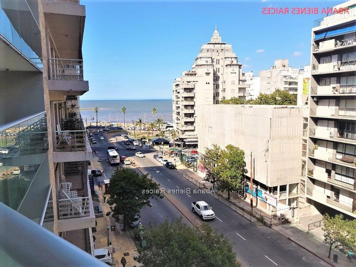 4 Schlafzimmer Wohnung in Montevideo, Uruguay, Nr. 12772