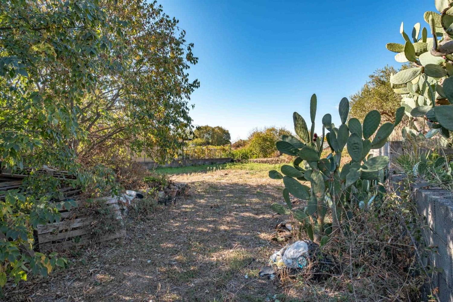 814m² Land in Aci Bonaccorsi, Italy No. 153693