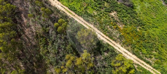 Grundstück in Aljezur, Portugal 7500m², Nr. 226256 7