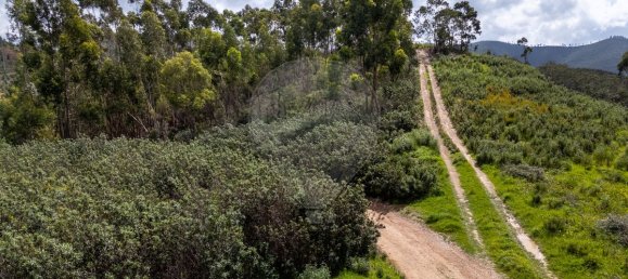 Grundstück in Aljezur, Portugal 7500m², Nr. 226256 10