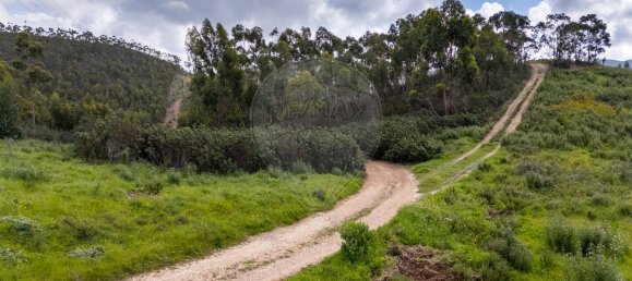 Grundstück in Aljezur, Portugal 7500m², Nr. 226256 11