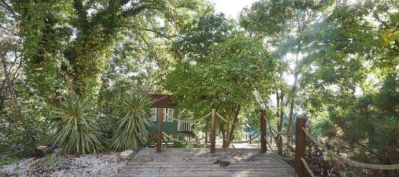 11 rooms House in Dobling, Austria No. 148315 3