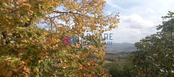 4 rooms Apartment in Rosignano Marittimo, Italy No. 152372 24
