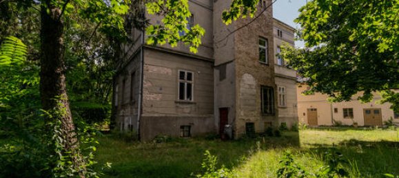 8 rooms Commercial property in Potsdam, Germany No. 90382 6