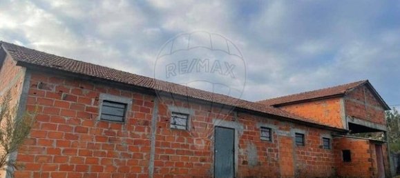 1 bedroom House in Sao Pedro do Sul, Portugal No. 62914 6