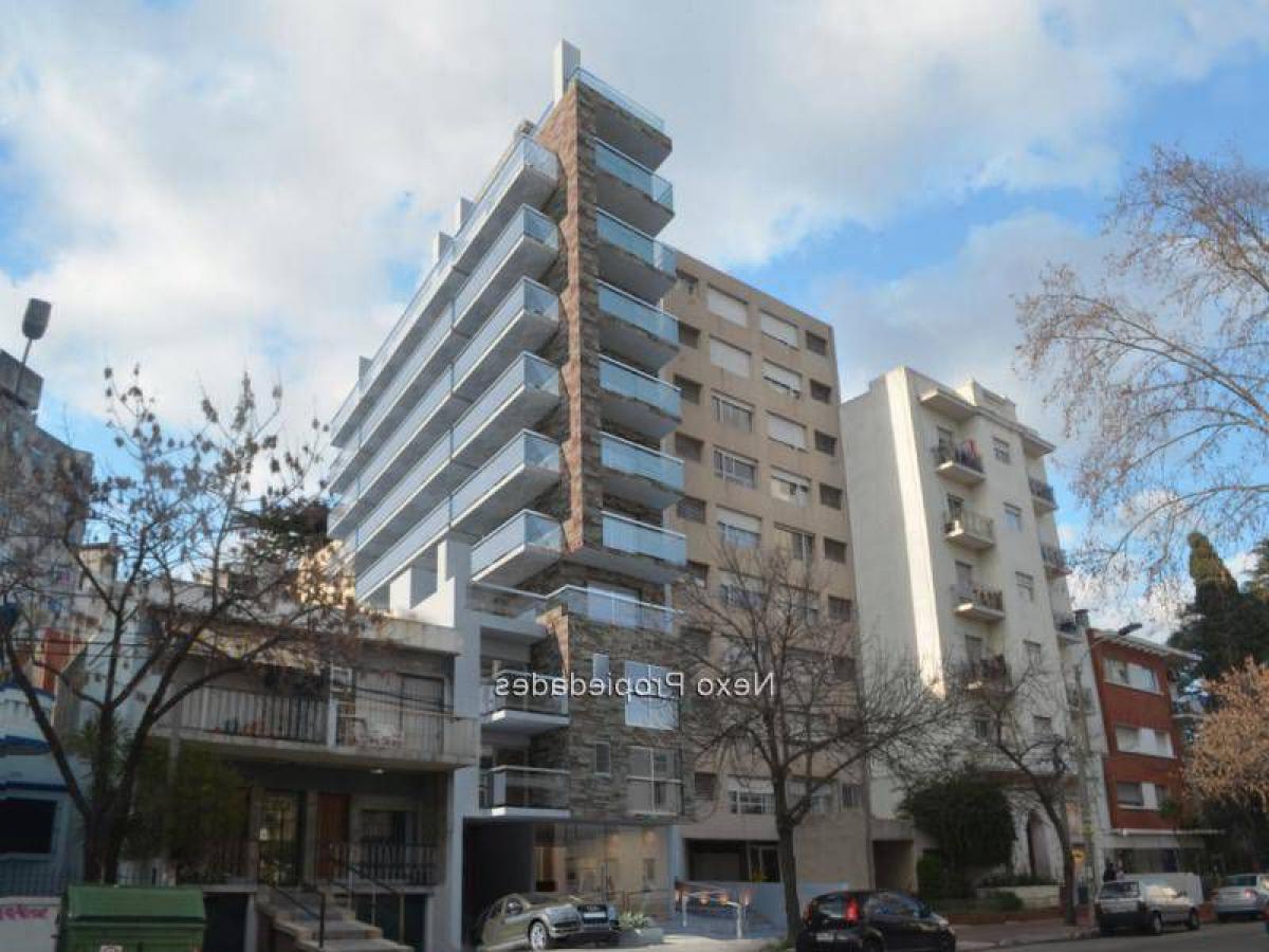 استوديو في Montevideo, Uruguay رقم 11971