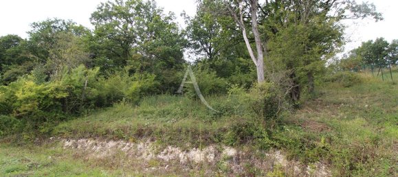1232m² Land in Loir-et-Cher, France No. 82376 7