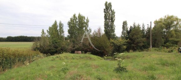 1232m² Land in Loir-et-Cher, France No. 82376 4