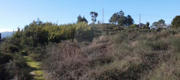 Casa T1 em Soalhães, Portugal N.º 50685 4