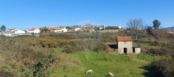 Casa T1 em Soalhães, Portugal N.º 50685 2