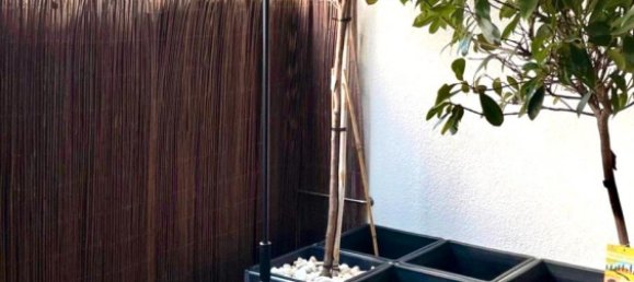 2 chambres Duplex à Cologne, Germany No. 314332 8