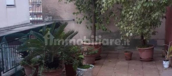 2 Schlafzimmer Wohnung in Massa, Italy, Nr. 39082 4