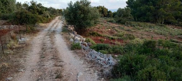  قطعة أرض في Zakynthos, Greece رقم 490 12