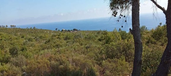  قطعة أرض في Zakynthos, Greece رقم 490 6