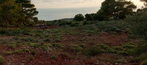  قطعة أرض في Zakynthos, Greece رقم 490 21
