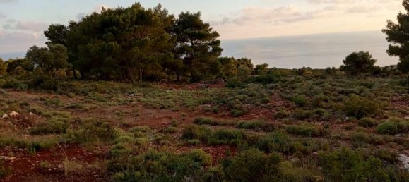  قطعة أرض في Zakynthos, Greece رقم 490 20