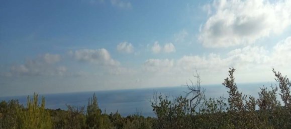  قطعة أرض في Zakynthos, Greece رقم 490 18