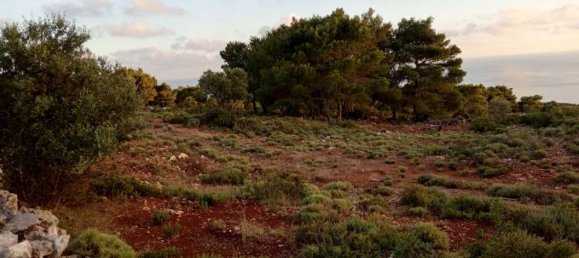  Hotel in Zakynthos, Greece No. 490 4