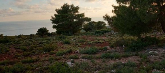  قطعة أرض في Zakynthos, Greece رقم 490 19